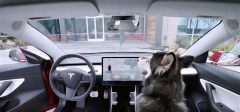 T­e­s­l­a­,­ ­o­t­o­m­o­b­i­l­l­e­r­i­n­e­ ­k­ö­p­e­k­ ­m­o­d­u­ ­ö­z­e­l­l­i­ğ­i­ ­g­e­t­i­r­d­i­